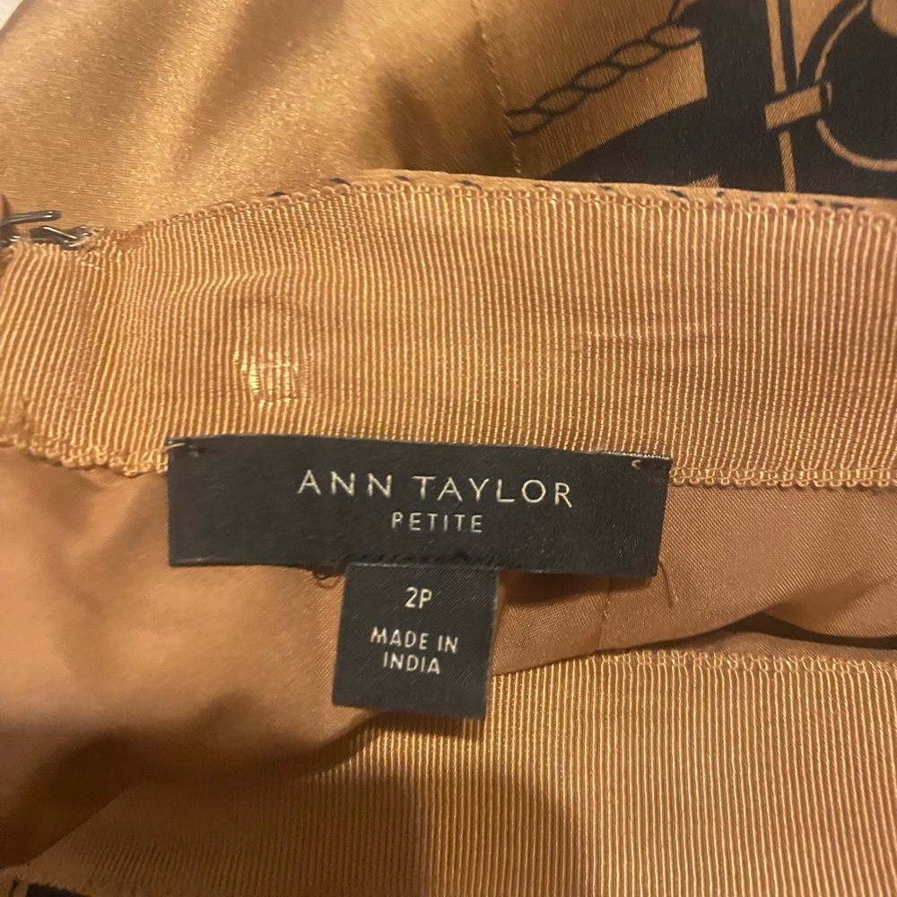 Ann taylor skirt